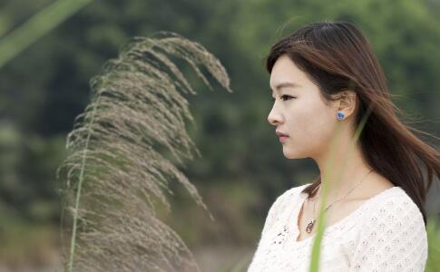 ������ϼ���ֲƲ� �����ԭ��ŭ�����