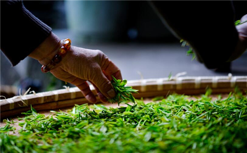 Ԥ����������Ҫ 4����ҩ��Ԥ��Ч��