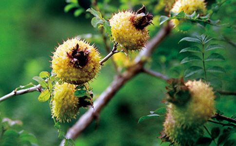 ������ˮ�ȵĹ�Ч