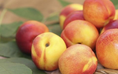 ȥ������� ��ҽ���ȷ��岿λ׼ȷ����