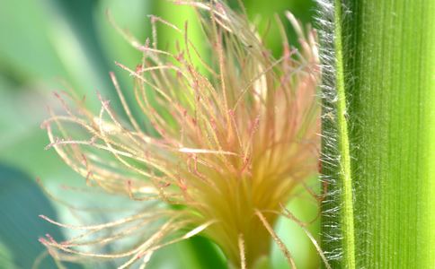 ��������ˮ�ȵĽ���