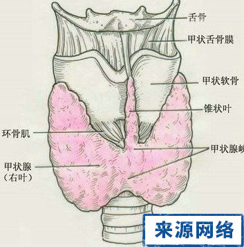 ������״�ٰ����Գ̶ȵ�