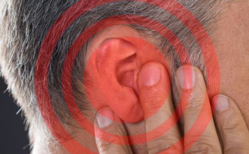 Ԥ���������� �ſ����������