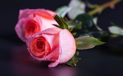 ���˽�|���˽ڱ��׵Ķ��Ŵ�ȫ