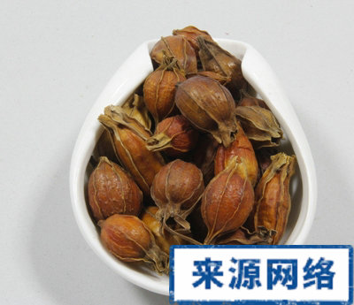 ��ҩ����������ʲô��֢