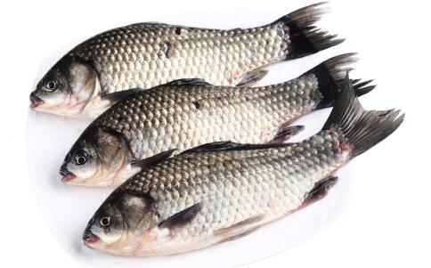 �＾�и���ʲô�� �и��＾ʳ���Ƽ�