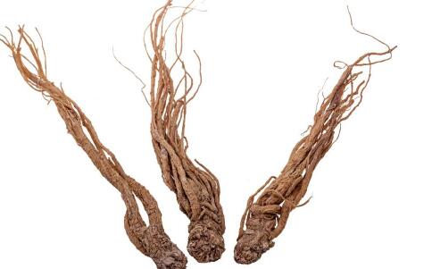 Ů�ԴƼ��ط��ڹ��� ����Ҫ���������ʳ��