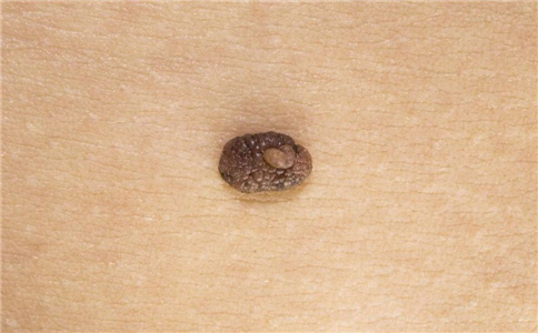 ���ϳ����Ǻ��ǻ���������������