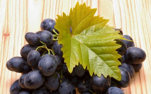 ��ɫʳ�ﲹ�� ��ɫʳ������Щ