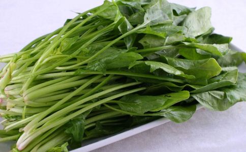 ���˶�����ͬ�� �̵�8��ʳ�����ҥ��