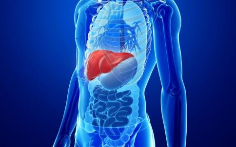 С����ʳ���׳���֬����