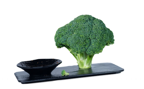 �������� �������˵�ʳ��