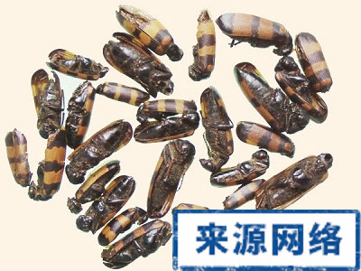 �ٴ��о������������п�����Ч