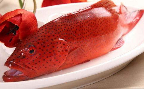 ���Զ����̲�����Щʳ���