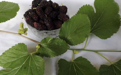 �̵�5�����������Ч