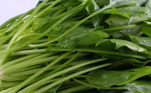 ������ʳ ��������������