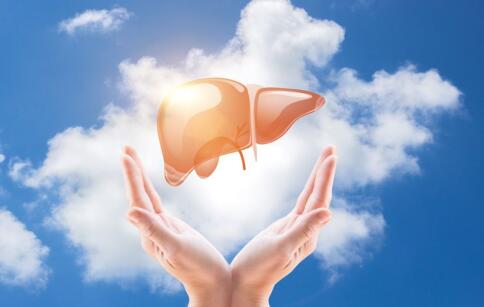 ���Ƽ׸���Ҫע��4������