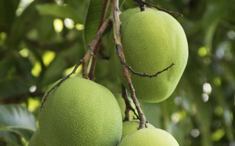 �������޻����������ֲ�