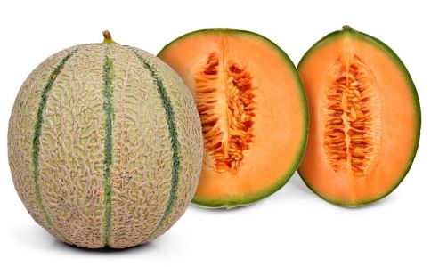 �ļ��Թ��ܹϵ����������Ч