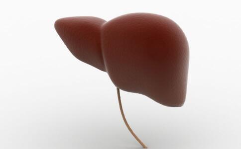 ��ο�ѧ���ƴ�С����