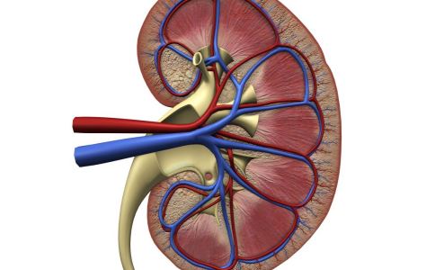 ����������� ���ʳ��Ч������