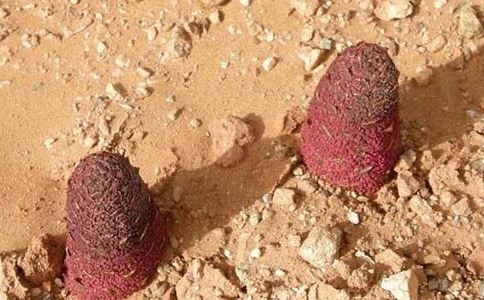 ������ˮ�ȵĽ���