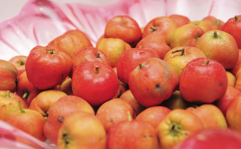 ���ųԿ��Է�����ˮ��