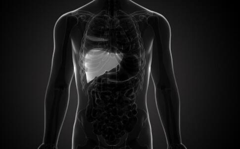 ������Ҹβ���Я���ߵ���������