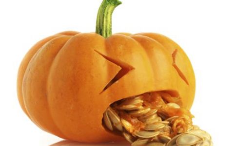 ���˲�������Щ��飿������ƣ�