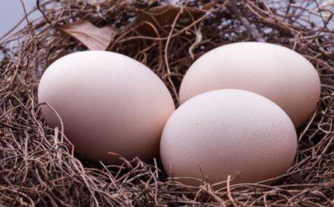 �����󼦵�������Ӫ����