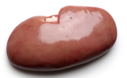 ÿ��Ը��㽶�ɸ�����й����