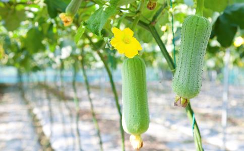 �ƹ���ô�������