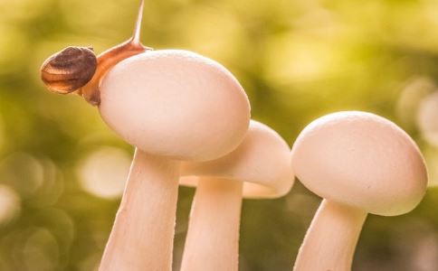 ������ҩ�����Ĺ�Ч������