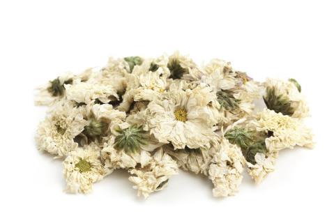 ������ʲô�������� �������Ƽ�