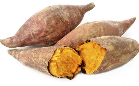 ������ʲô�������� �������Ƽ�