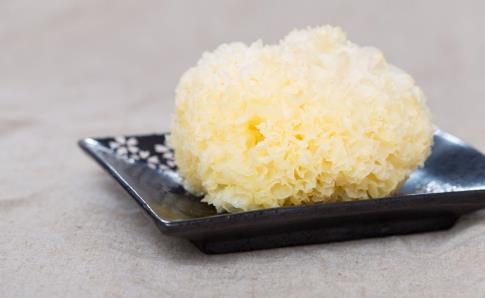 ������ʲô�������� �������Ƽ�