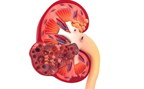 һ��������Ƣ��Ч��