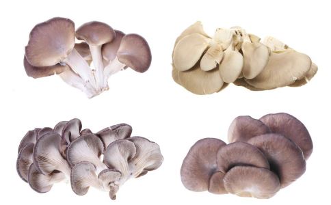 夏日防晒就吃这10种食物