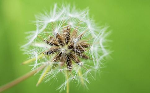 �ļ������������Ĵ�ԭ��