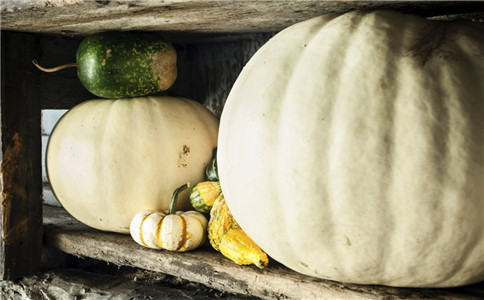 ��������ɱ����ϸ����ʳ��