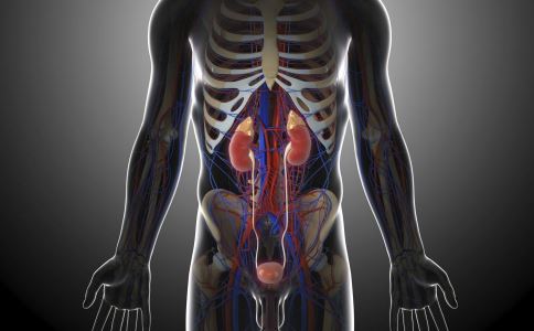 IgA�������߲��˳Ե�