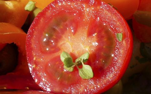 �ļ�������ѵ��Ĵ�ʳ��