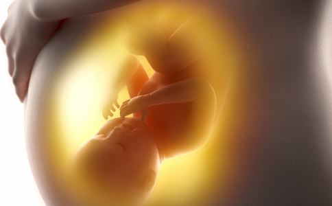 �и�������ʳע������ Ӫ�������ǹؼ�