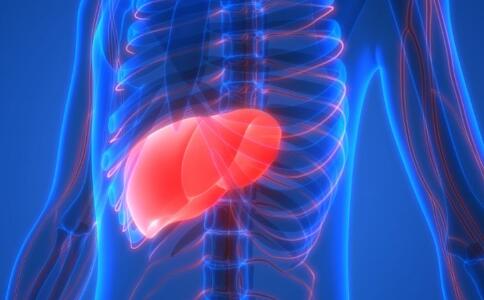 ���Ըβ����ߵ�6��Ӫ��ʳ��