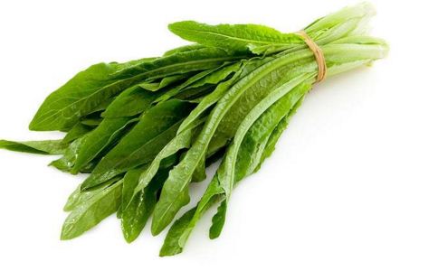 ������ʲô���Է�����