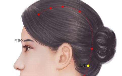 �ϰ��徱׵��ʹ��ô�� �Լ�������Ħ�����