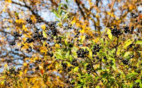 Ů������ˮ�ȵĽ���