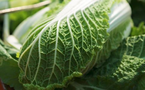 �����������ص� �̵㴺������8��Ҫ��