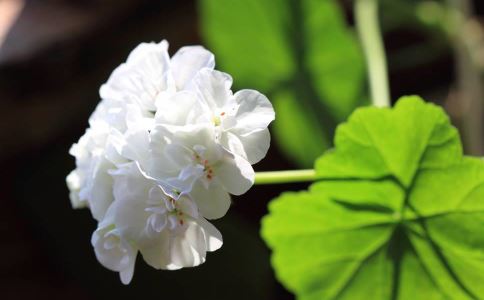 �ļ�10����Ȼ���õ��