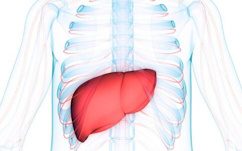 �β�Ӧ������û�������